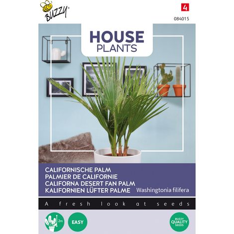 Buzzy House Plants Californian palm Semences - Ca. 1 gr (1/2)