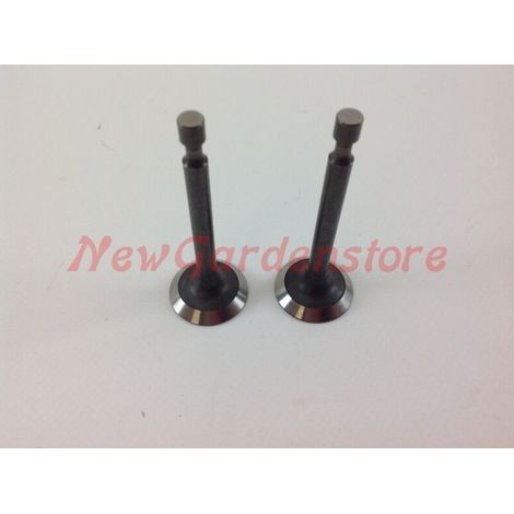 Kit de soupape d'aspiration, échappement du moteur 1P65A 550034 (1/4)