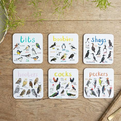 Lot de 6 sous-verres humoristiques sur le thème des oiseaux, pour protéger votre table, votre bar ou pour offrir en cadeau de pendaison de crémaillère ou de café. (1/4)