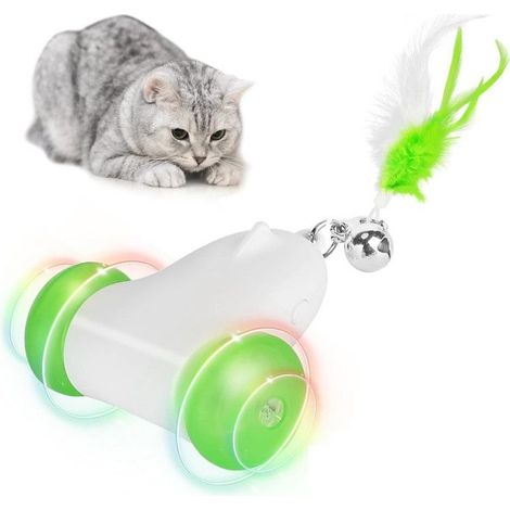Jouet interactif pour chat, jouet électrique automatique rechargeable pour chat d'intérieur, mouvements irréguliers, stimule l'instinct de chasse (1/5)