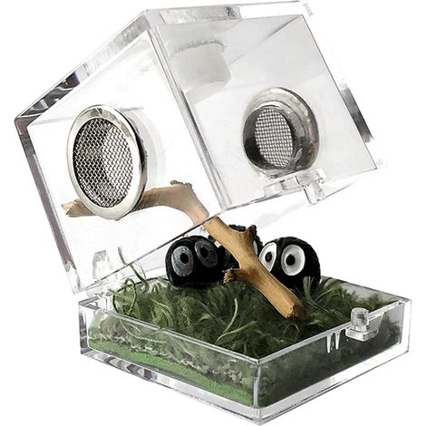 Boîte d'alimentation pour insectes, boîte d'élevage en acrylique transparent pour reptiles et araignées (1/5)