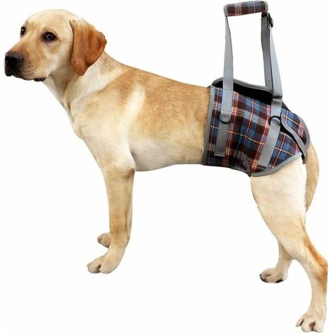 Harnais de Soutien pour Chien pour Les Jambes Avant et arrière Levage Gilet de réadaptation réglable Maille Portable rembourré sans avec poignée (bleu)L (1/5)