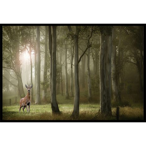 Affiche encadrée – Chevreuil dans une forêt brumeuse (1/5)