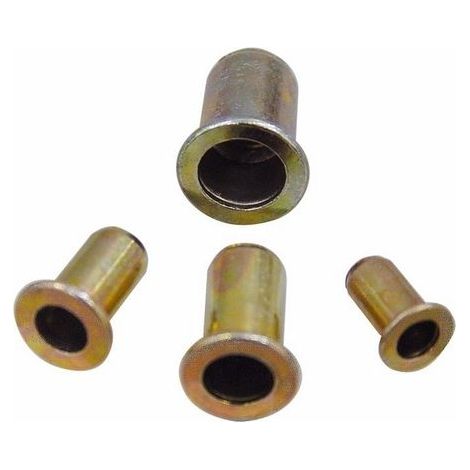 Inserto Filettato in Acciaio per rivettatrice Far misura 4 mm   5,9 mm cf.200Pz (1/2)