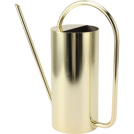 Arrosoir à long bec verseur, grande capacité (1500 ml), en acier inoxydable, couleur or, pour plantes. Accessoires de jardin. (1/5)