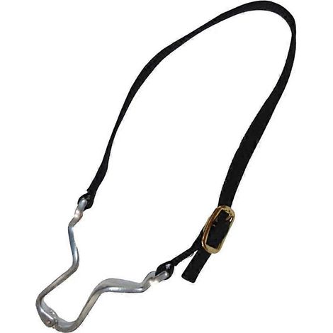 Mors de cheval portable, robuste, flexible et résistant, outil de pansage et de soin des chevaux, gourmette pour l'équitation (1/5)