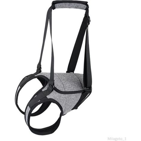 Harnais de levage pour chien ceinture auxiliaire laisse pour animal de compagnie pour coussin de levage de jambe arrière XL (1/4)