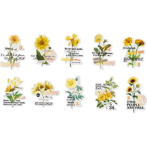 Lot de 10 autocollants fleurs transparents PET vintage pour carnet, journal, scrapbooking, déco artisanale - Type 1 (1/5)