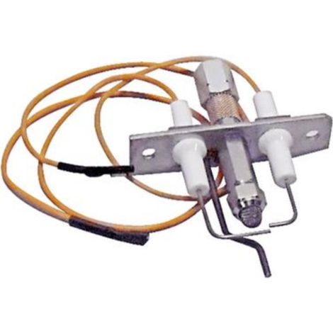 Electrodos Roca g100