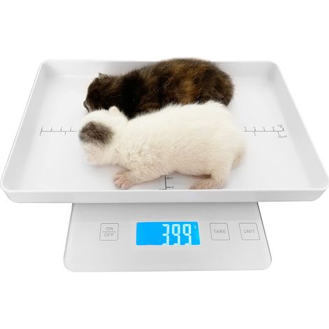 Balance numérique pour petits animaux, pour chiots, mini-balance de précision, 1 g, adaptée aux nouveau-nés. (1/5)