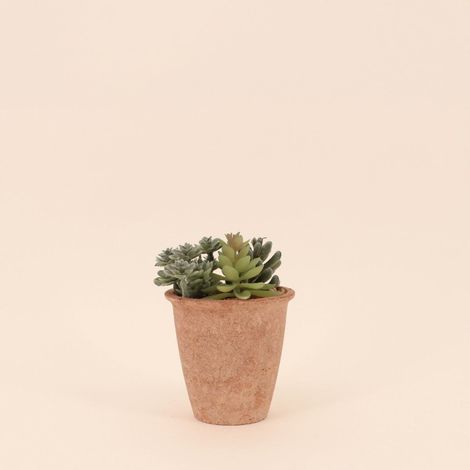 Plantes grasses artificielles 18cm