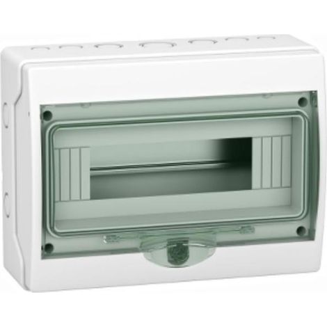 Centralita mural Schneider 12 módulos IP65 Puerta transparente 10315