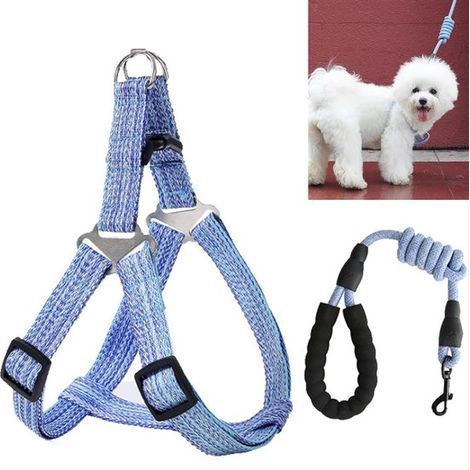 Harnais pour chien avec laisse, anti-traction, 2 points d'attache, gilet réglable rembourré et confortable, pour promenade et entraînement (1/5)