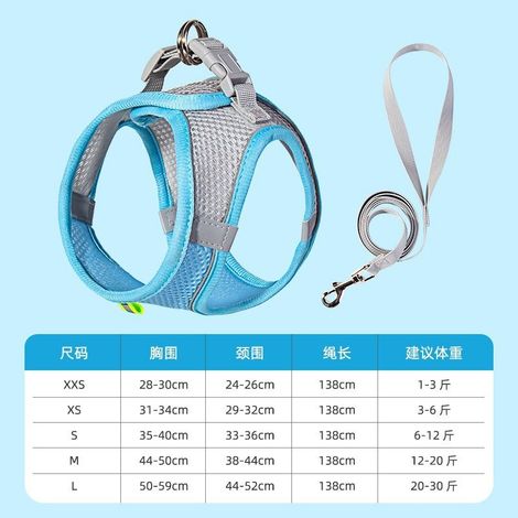 Filiyano-Laisse pour chien, harnais et corde de traction pour chat, accessoires pour petits chiens et chatons, bleu M (12-20 kg), universel pour (1/5)