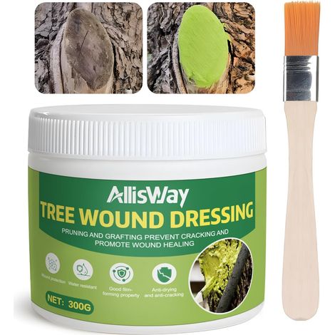 Cicatrisant Arbre, Mastic Cicatrisant Arbre, Formation Rapide Film, 300g Glu Arboricole, Bonsaï Découpe Pâte, Adapté à la Cicatrisation des Plaies des Arbres Fruitiers et des Arbres D'ornement (1/5)