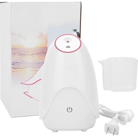 Vaporisateur facial blanc 80ml, appareil de soin à vapeur chaude et froide pour le visage à la maison, réservoir d'eau intégré (1/5)