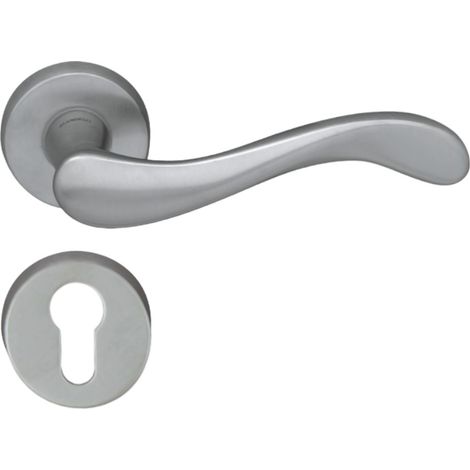 DOMINO Poignée de porte ANDE-R M4 PZ Poignée avec plaque PZ pour cylindre profilé Nickel (1/5)