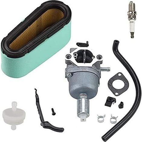 Carburateur pour Briggs et Stratton 791886 495935 690194 498061 499153 287707 28777 28N707 28N777 28P777 28Q77 14 CV 15 CV 15 6 CV 17 Moteur PS 18 CV (1/4)