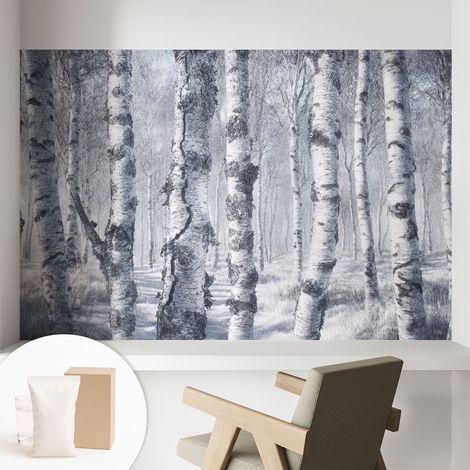 Papier peint avec colle pour décoration moderne de salon chambre à coucher cuisine et bureau Facile Nature hivernale 104x70 cm (1/5)