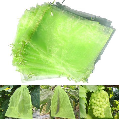 Sac Protection Fruits, Sachet Protection Raisin, 50 Pièces 30x40cm, Sac de Protection pour Fruits pour Protéger Les Grappes de Raisin des Frelons et des Oiseaux (1/5)
