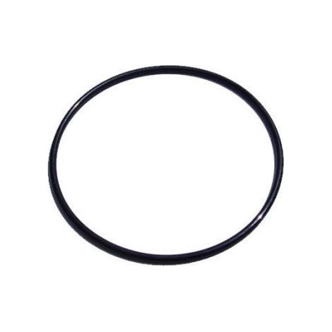 Ersatzdichtungen und O-Ringe P6563 für Sandfiltersysteme. Bestway Flowclear Sandfilterpumpe. (1/5)