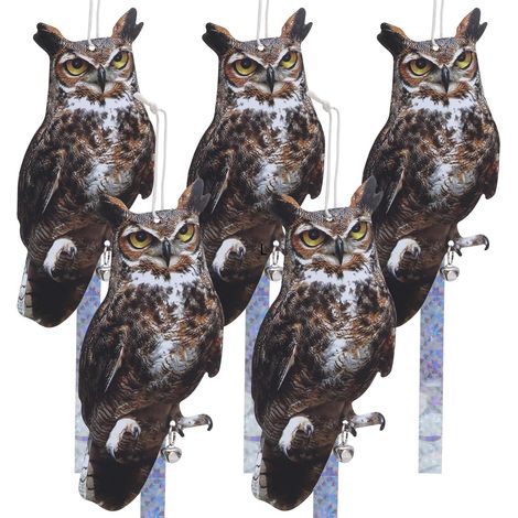 Lot de 3 répulsifs Anti-Oiseaux pour Balcon, hiboux Plats factices, Pigeons, répulsif Contre Les Pigeons, Balcon, répulsif Contre Les moineaux, Chouette Suspendue en Plastique avec Ruban (1/5)