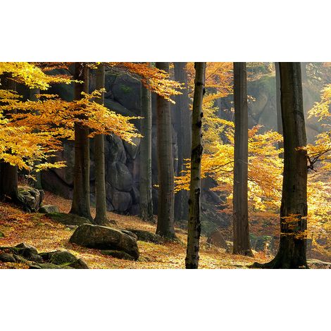 Affiche fontainebleau en automne - 60x40cm - made in France (1/5)