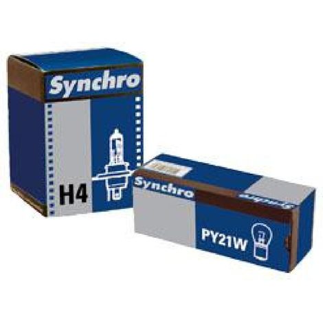 10 ampoules temoin a culot H6W