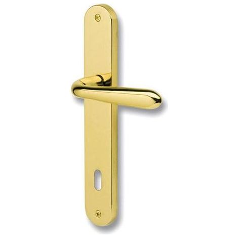 Maniglia Gm05 Foro Patent Zcs (1/2)