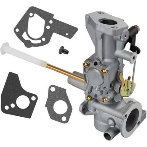 Carburateur compatible avec moteur Briggs & Stratton 5 HP, références 692784, 495951, 495426 (1/4)