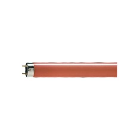 Philips 726841 Red fluorescent neon TL-D 18W/15 T8 G13