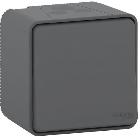 Schneider Electric – Bouton poussoir étanche IP55 – anthracite – résistant aux chocs IK08 – pour espaces extérieurs et milieux humides (1/7)
