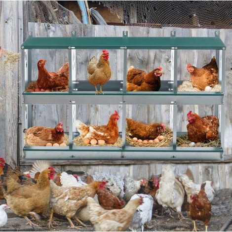 Nidal de puesta para gallinas de 8 compartimentos de metal para fijar a la pared, verde OKMYHOME (1/5)