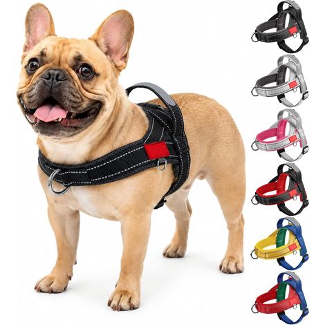 Harnais Anti Traction pour Chien de Taille Petit Moyenne et Chiot, Harnais Réfléchissant Réglable pour Chiens avec Poignée de Contrôle, Gilet Facile à Mettre (Noir Gris, XL) (1/5)