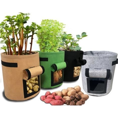 3 non-woven grow bags with viewing window, ideal for vegetables, carrots, and potatoes, 37L for amateur gardeners. (1/4)