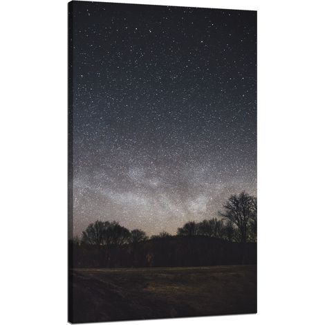 Leinwanddruck Weltraum Sternenhimmel 70x120 Pferdestall Blumenstrauß