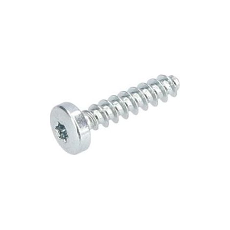 Vis a tete bombee torx pour Ponceuse vibrante BOSCH OUTILLAGES - 1613490027