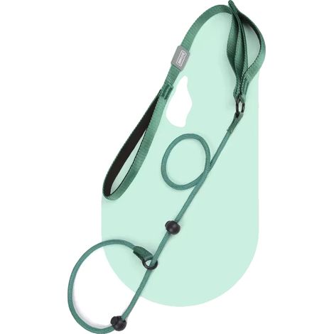 Laisse pour chien, double poignée, matériau en nylon durable, 170cm x 0.6cm-b, vert (1/2)