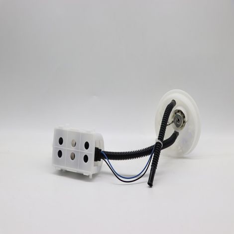 Neue Kraftstoffpumpe ZQ00469380, kompatibel mit Citroën Fukang 16V Elysee und Lifan 520