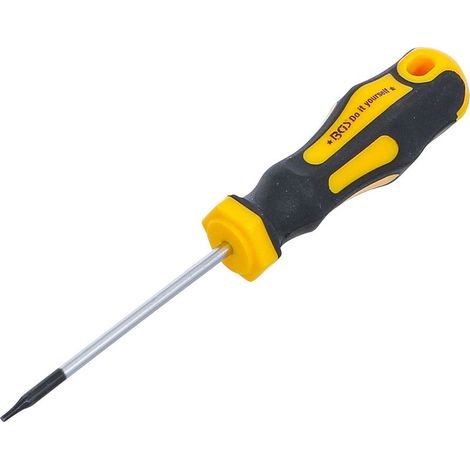 TOURNEVIS PROFIL EN T (POUR TORX) T6 LONGUEUR DE LA LAME 60 MM BGS DIY 7844-T6 (1/4)