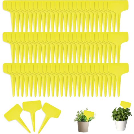 Jardin Étiquettes 100Pcs Plant Étiquettes Étiquettes en Plastique Étiquettes Jardin Plastique pour Plantes Succulentes, Plantes en Pot Et Légumes (1/5)