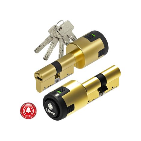 CILINDRO LEV.LG C/ALARMA 40X30 (1/2)
