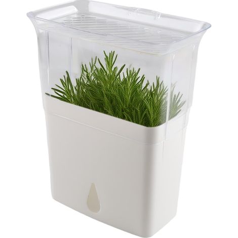 Contenitore per erbe aromatiche con serbatoio d'acqua per frigorifero - Contenitore per erbe fresche con coperchio e 3 divisori - Contenitore trasparente per conservare erbe aromatiche e verdure (1/5)