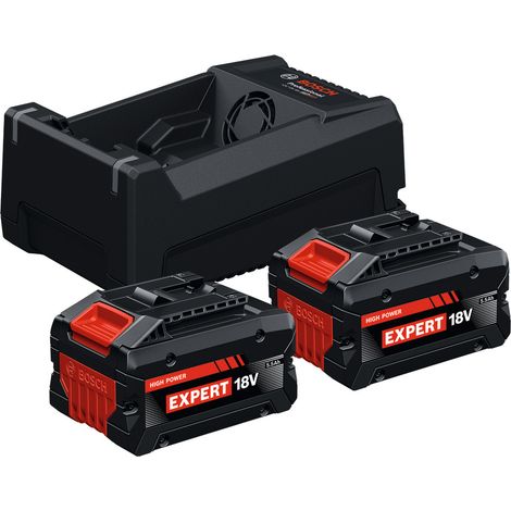Bosch PRO 18v Starter Set 2x EXBA18V-55 + GAL12V/18V-80 Carton box 1600A0373R (1/5)
