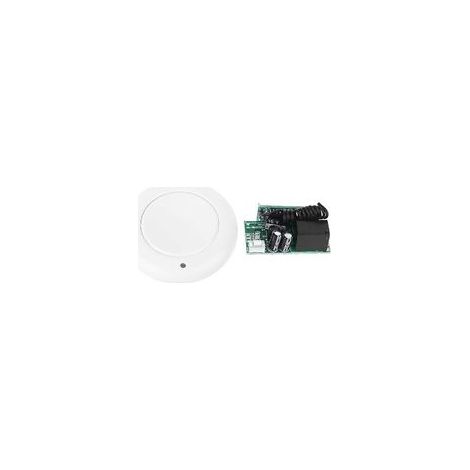 Récepteur de télécommande sans fil pour ampoule de garage (1/4)
