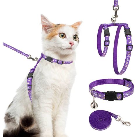 Harnais pour Chat avec Laisse et Collier – Harnais réglable Anti-Fugue Qui Brille dans Le Noir pour Promenade en Plein air (1/5)
