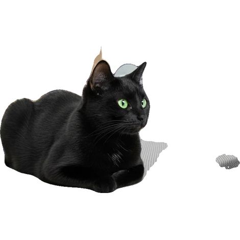Lit pour animaux, Design pliable, Matériau respirant, GRIS (1/2)