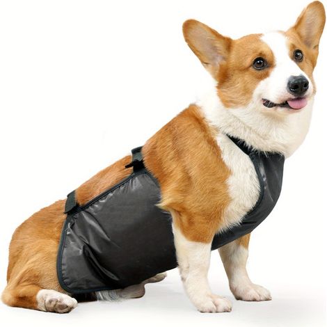Faja abdominal transpirable para perros machos, impermeable y repelente a la suciedad, lavable, ideal para el aseo de tu mascota. Talla única. (1/5)