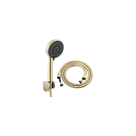 Fonction Pommeau Douche Haute Pression Plastique Kit Douchette Spa avec Support et Flexible de Douche Or de Zirconium Z-V-D - Crezuo (1/4)