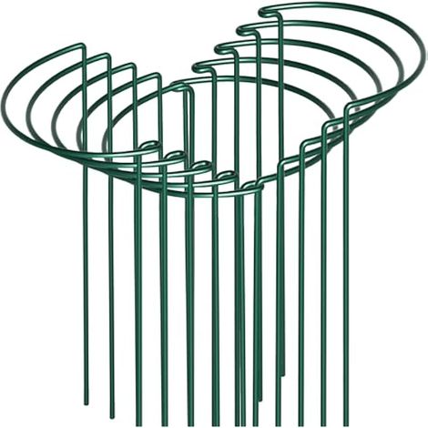 Lot de 10 piquets de support pour plantes, cages et supports de pivoine en métal de 25,4 x 61 cm (l x H), les piquets de plantes pour plantes d'intérieur sont adaptés pour les roses, les vignes et les (1/5)